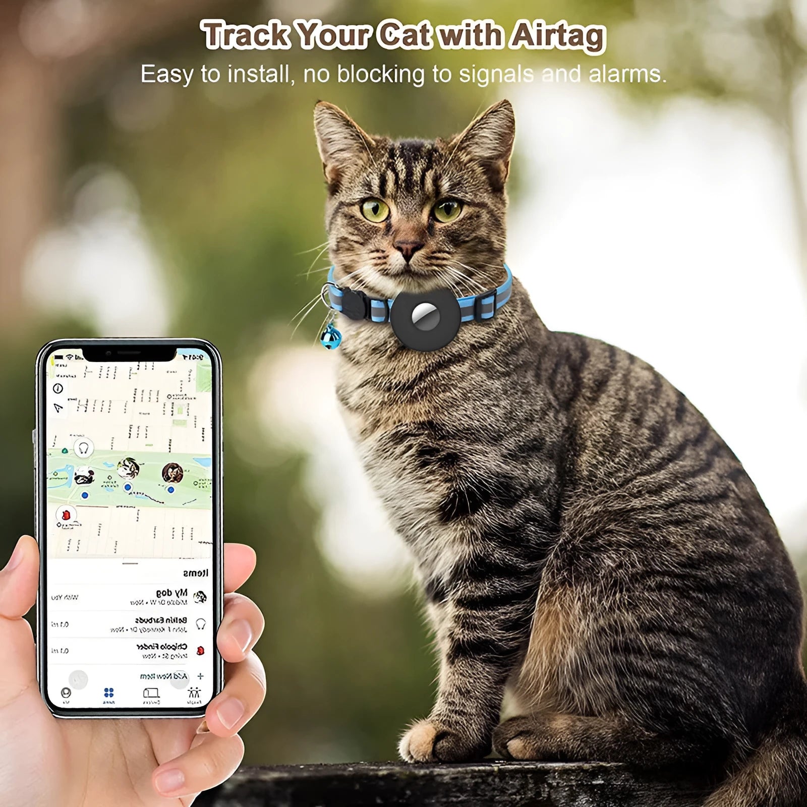 Reflective Airtag pet collar with bell on a small cat, adjustable 22-35 cm nylon with safety buckle