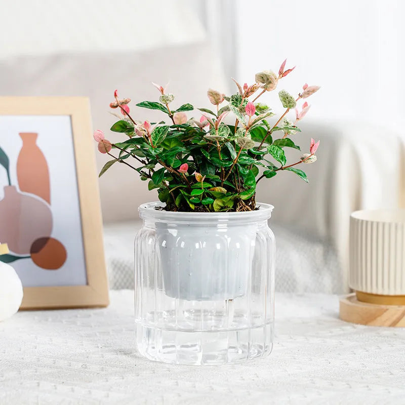 Self-absorbent hydroponic flowerpot transparent plastic resin small green plant pot vertical stripe