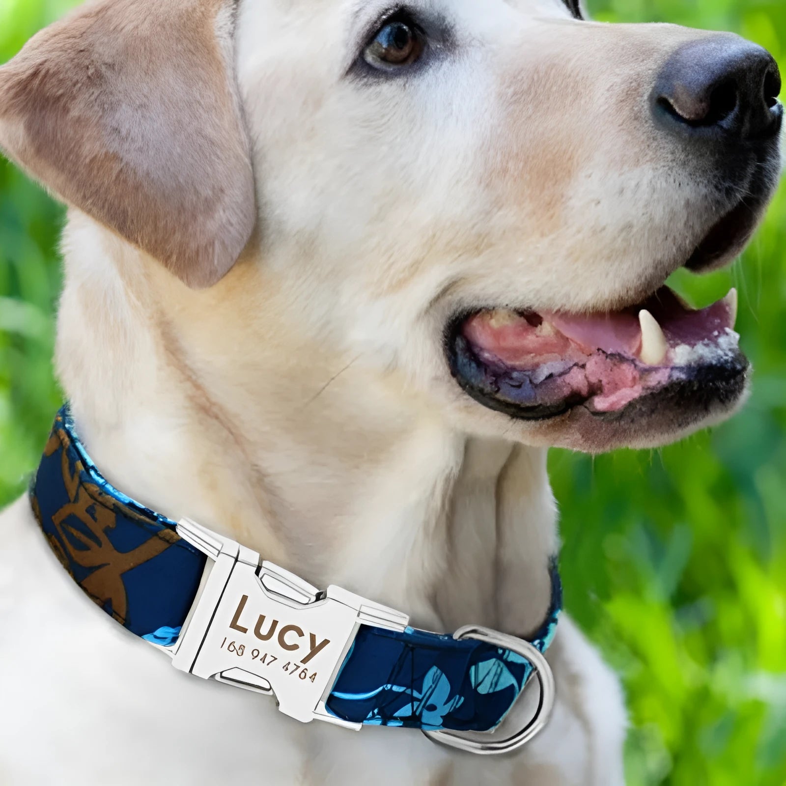 Adjustable dog collar shown in black, green, or rose red, with a buckle, available in S, M, and L sizes