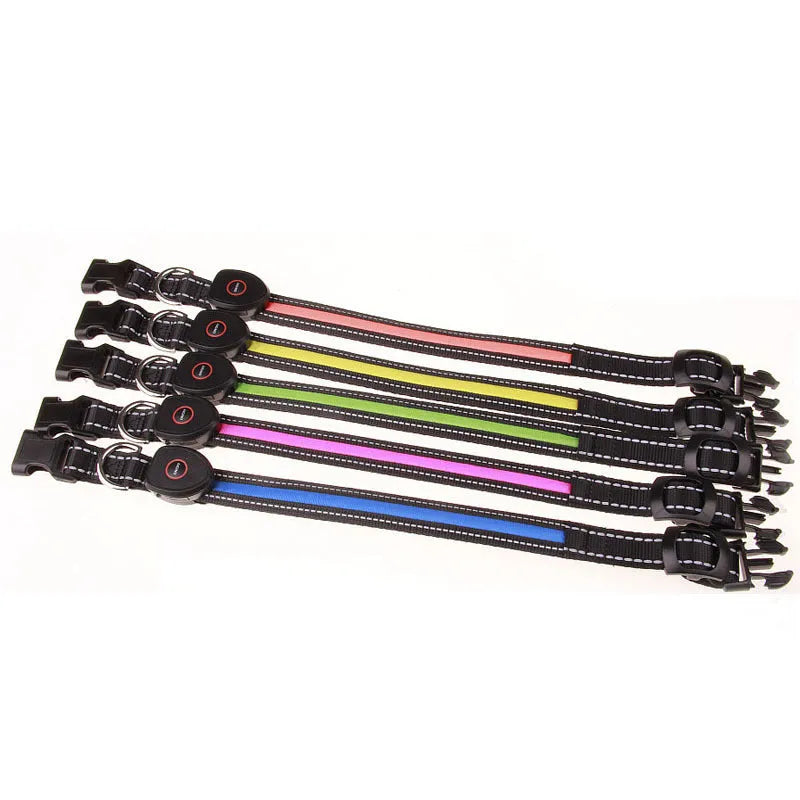 Adjustable dog luminous collar in glow colour with telescopic fit for night walk visibility