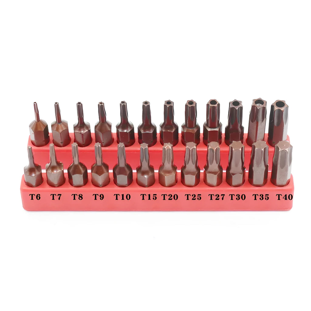 12-piece T6 to T40 magnetic screwdriver bit set with hollow and solid hexagon designs in black steel