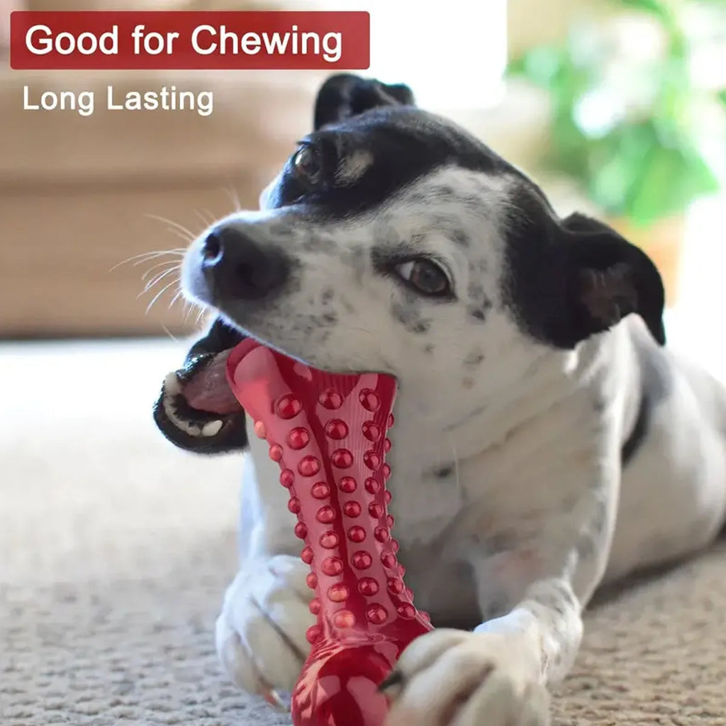 Red natural rubber chew toy for aggressive chewing dogs