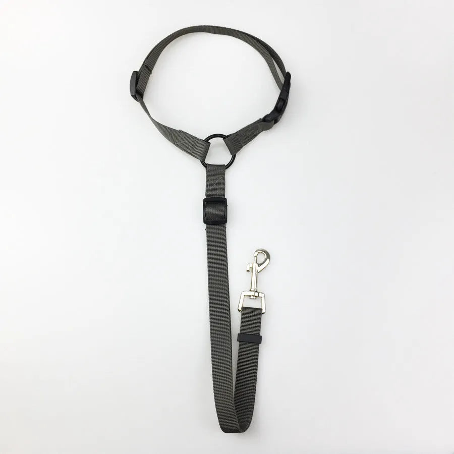 Pet safety leash made from nylon in expandable traction belt design, colour options include black