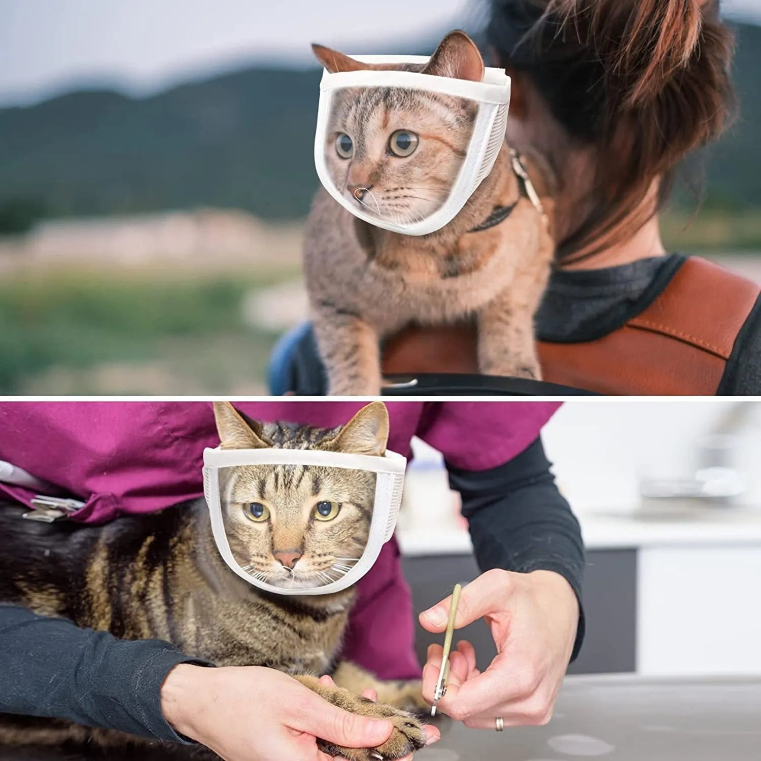 Clear transparent cat muzzle with breathable cotton construction and central breathing hole