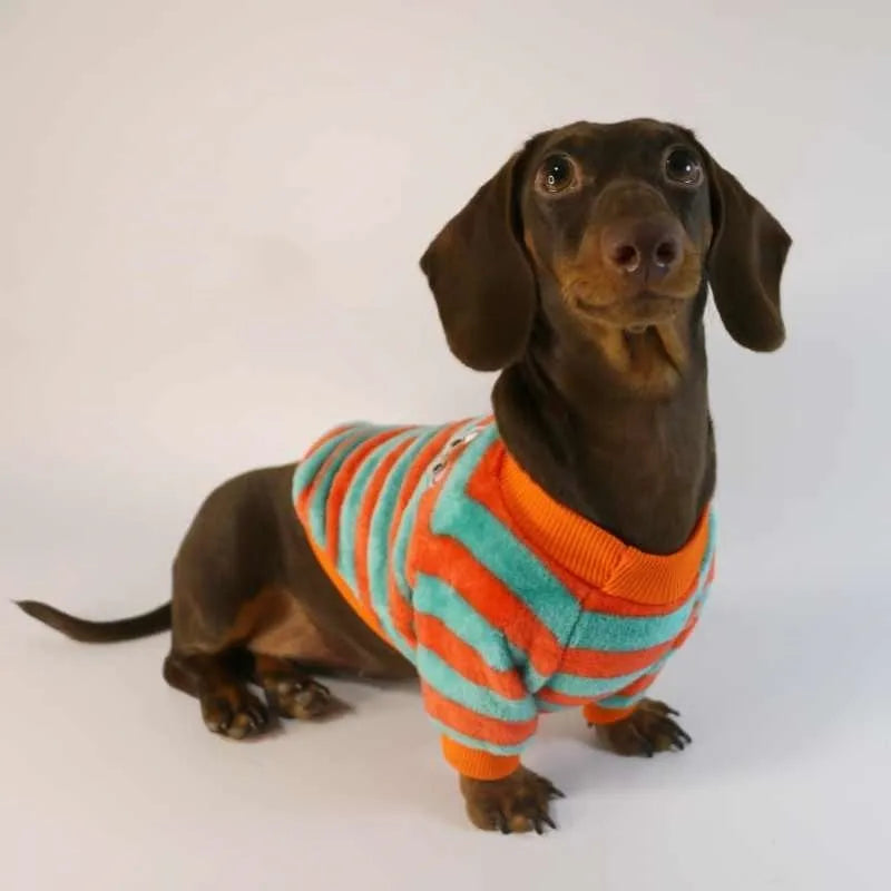 Orange red and white striped casual sweatshirt for a dog, featuring a round neck.