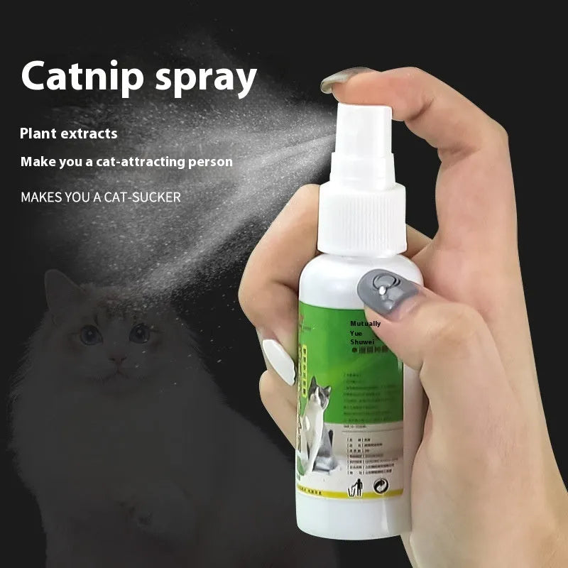 Catnip spray 50ml mood soothing self-hi supplies for playful cat enrichment