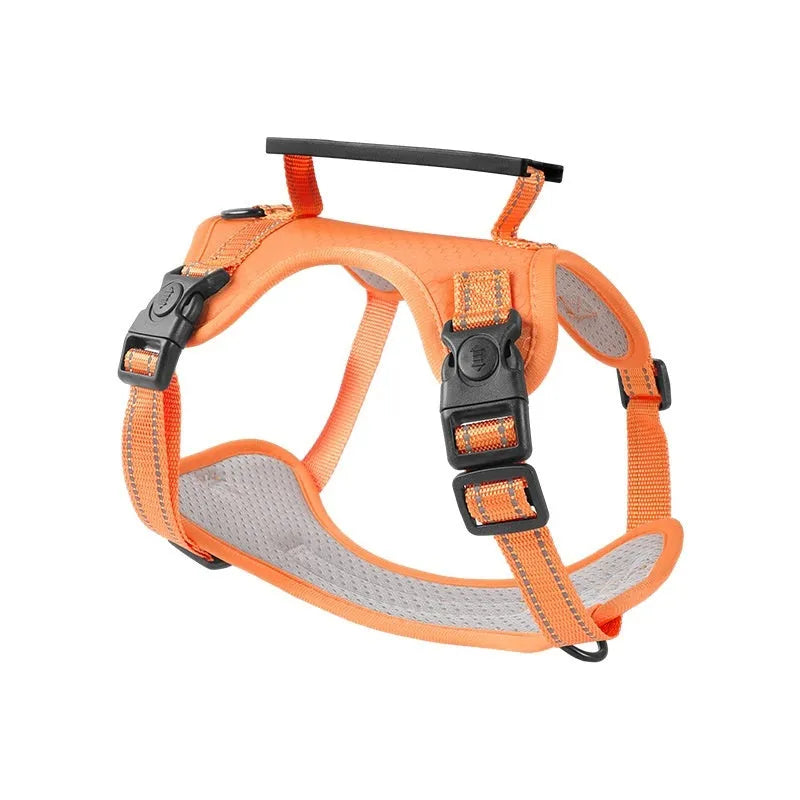 A Lake Blue coloured dog harness and lead set showing the Y-shaped front and adjustable straps on a model.