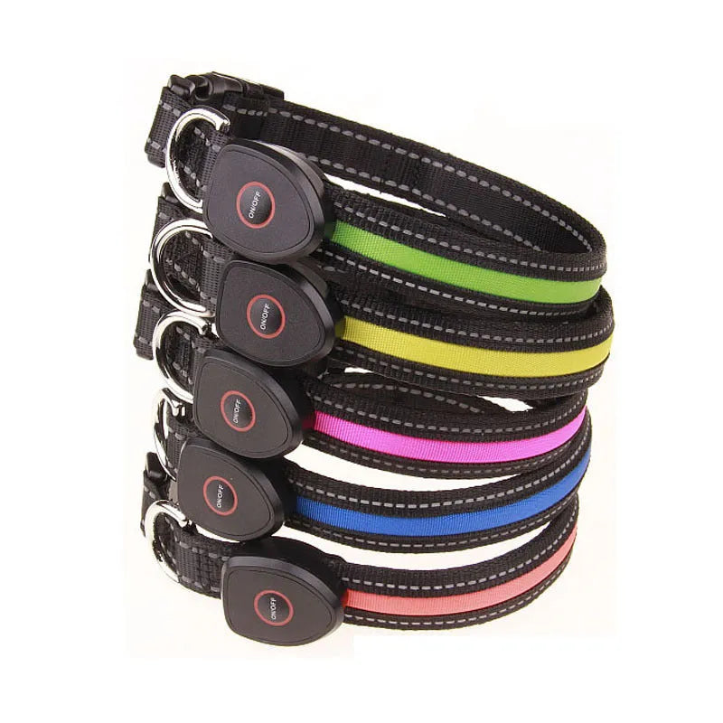 Adjustable dog luminous collar in glow colour with telescopic fit for night walk visibility