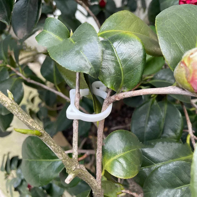 Colourful cat-shaped plastic clip for plants, shown in red, yellow, green, and white options.