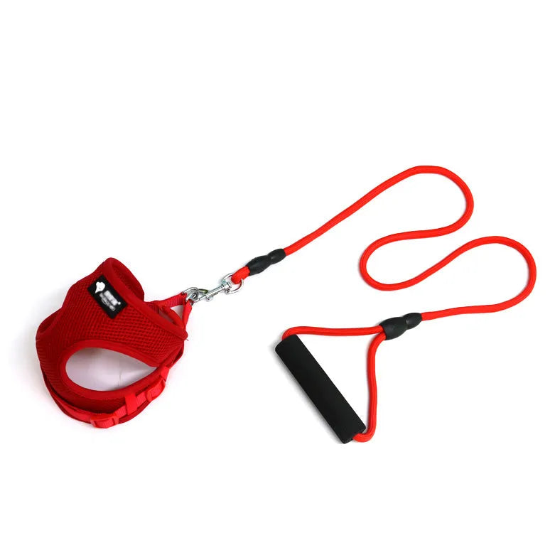 Blue dog leash and collar set with a foam handle for small dogs.