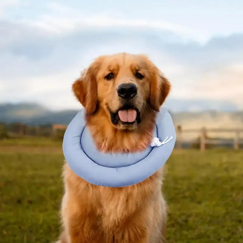 Blue adjustable Elizabethan cone collar for dog or cat wound recovery