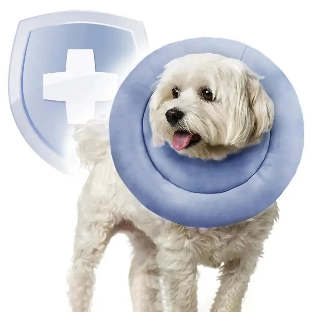 Blue adjustable Elizabethan cone collar for dog or cat wound recovery