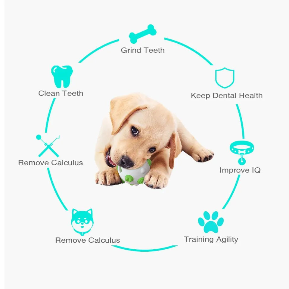 Blue dog teething chew ball with serrated bumps and hollow treat compartment