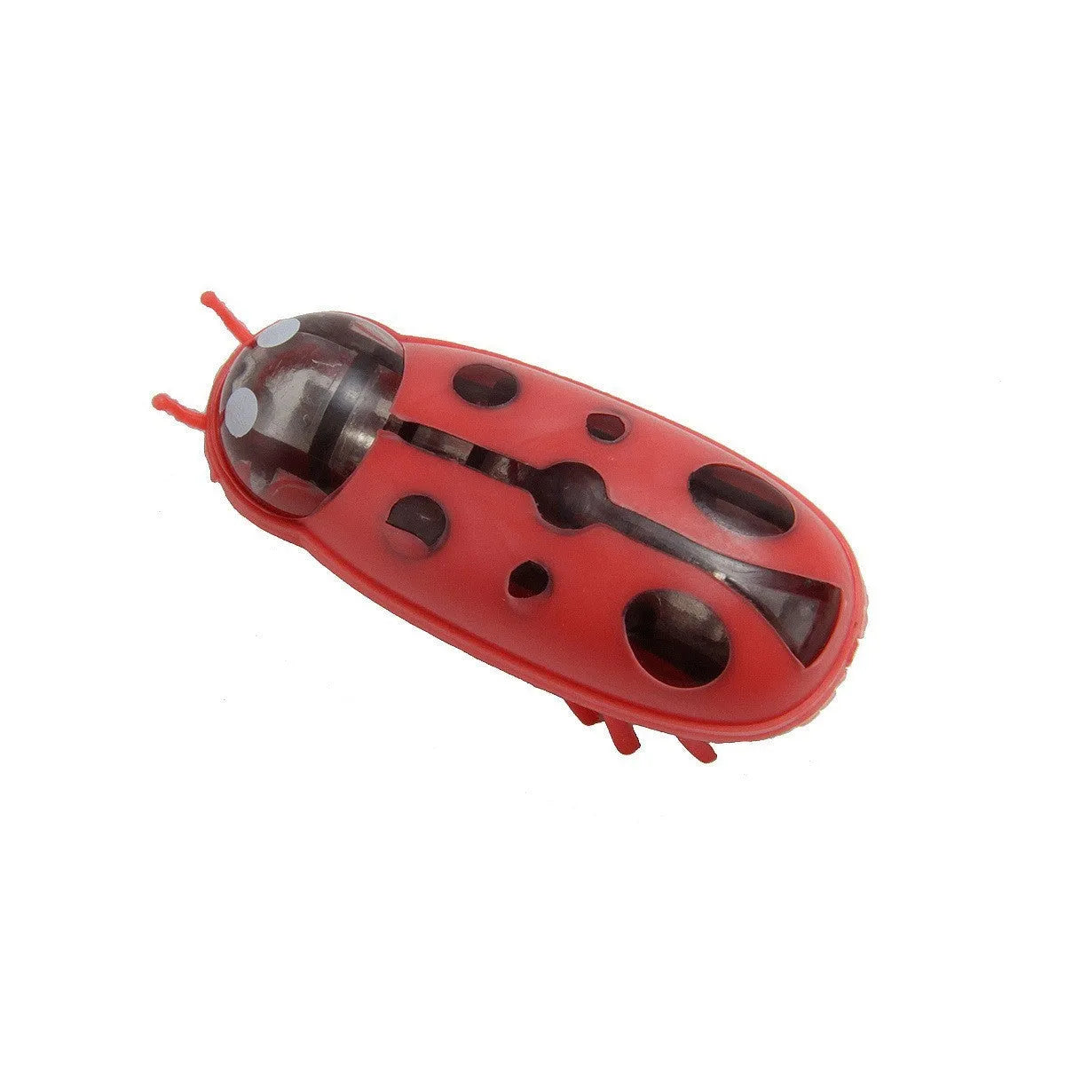 Small plastic electric cat teaser toy in ladybug red and black colour style on a hard floor.