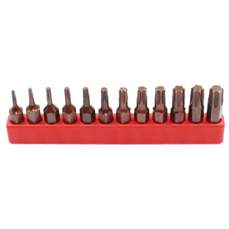 12-piece T6 to T40 magnetic screwdriver bit set with hollow and solid hexagon designs in black steel