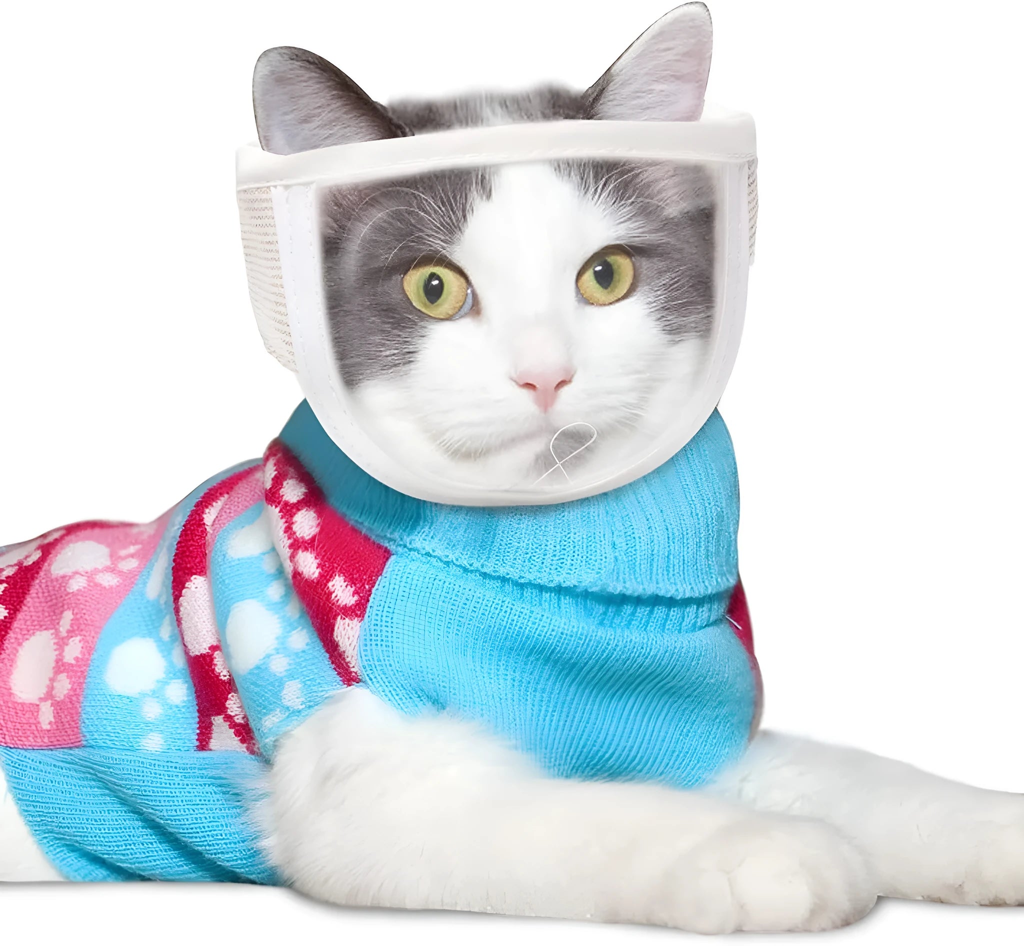 Clear transparent cat muzzle with breathable cotton construction and central breathing hole