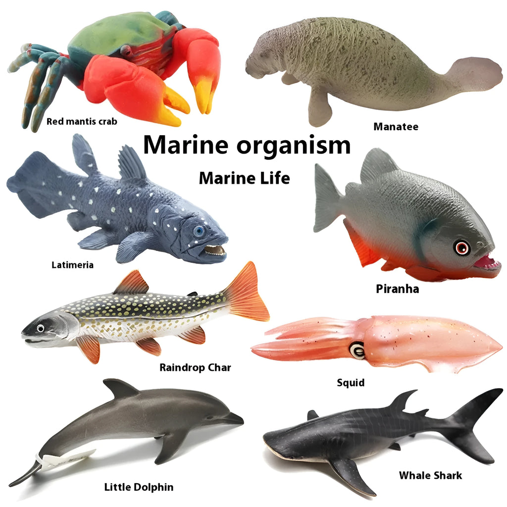 Solid PVC marine life model figurine, 16cm long, showing a whale shark with blue and white pattern.