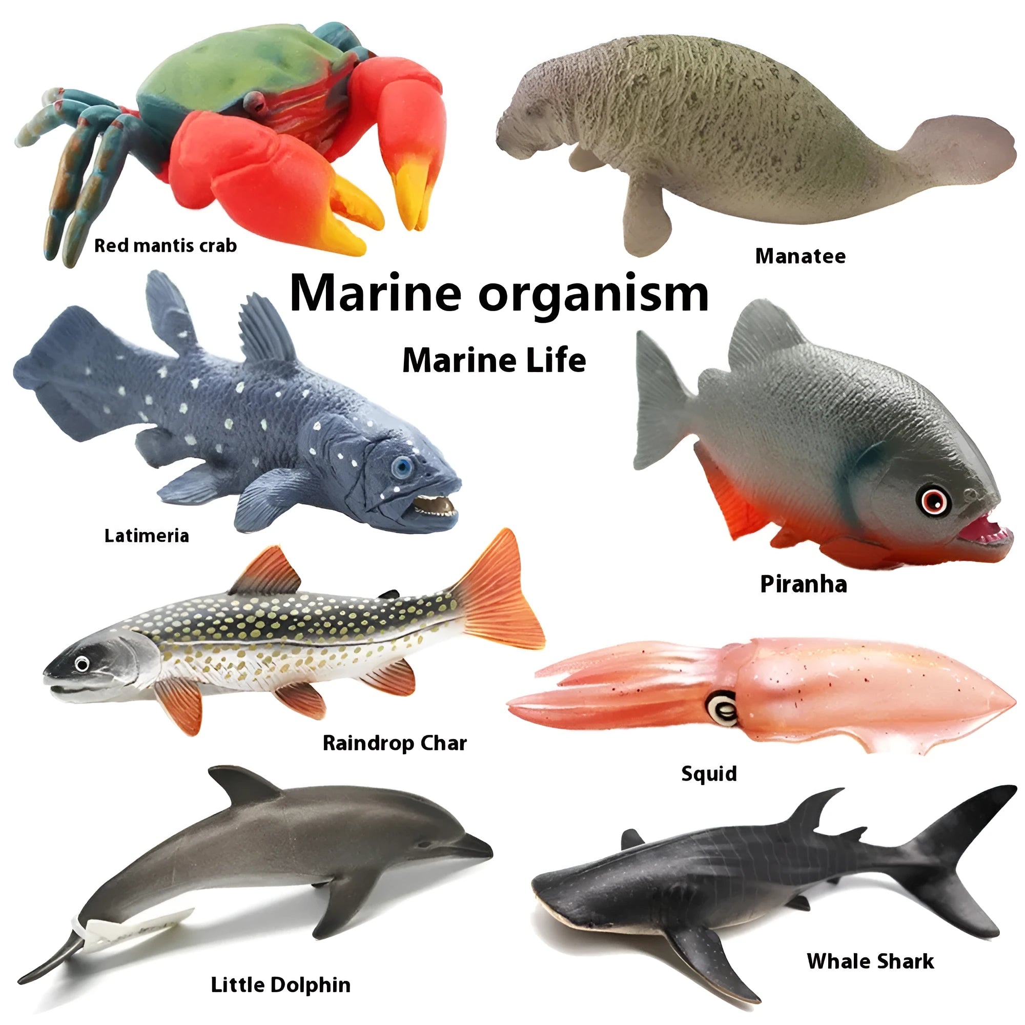 Solid PVC marine life model figurine, 16cm long, showing a whale shark with blue and white pattern.
