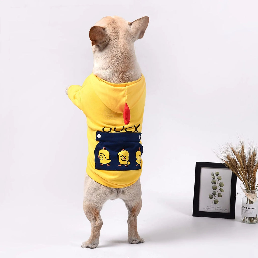 Blue pet dog sweatshirt in cotton wool pull frame, casual unisex style on a small dog