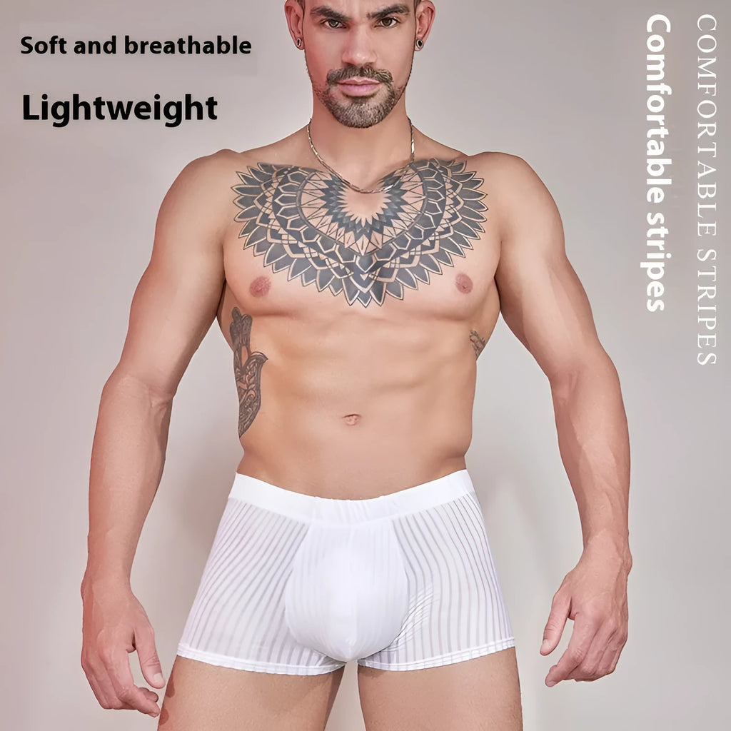 Men's striped thin transparent nylon boxer briefs in black, dark grey, and white colours.