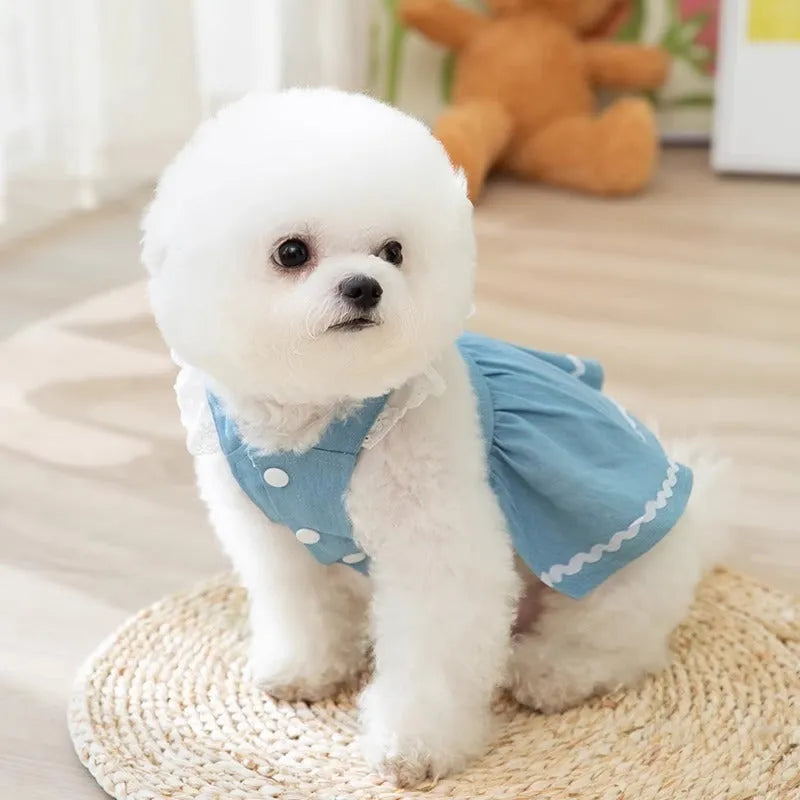 Strawberry traction print denim skirt dog clothes in Bondi Blue colour on small dog