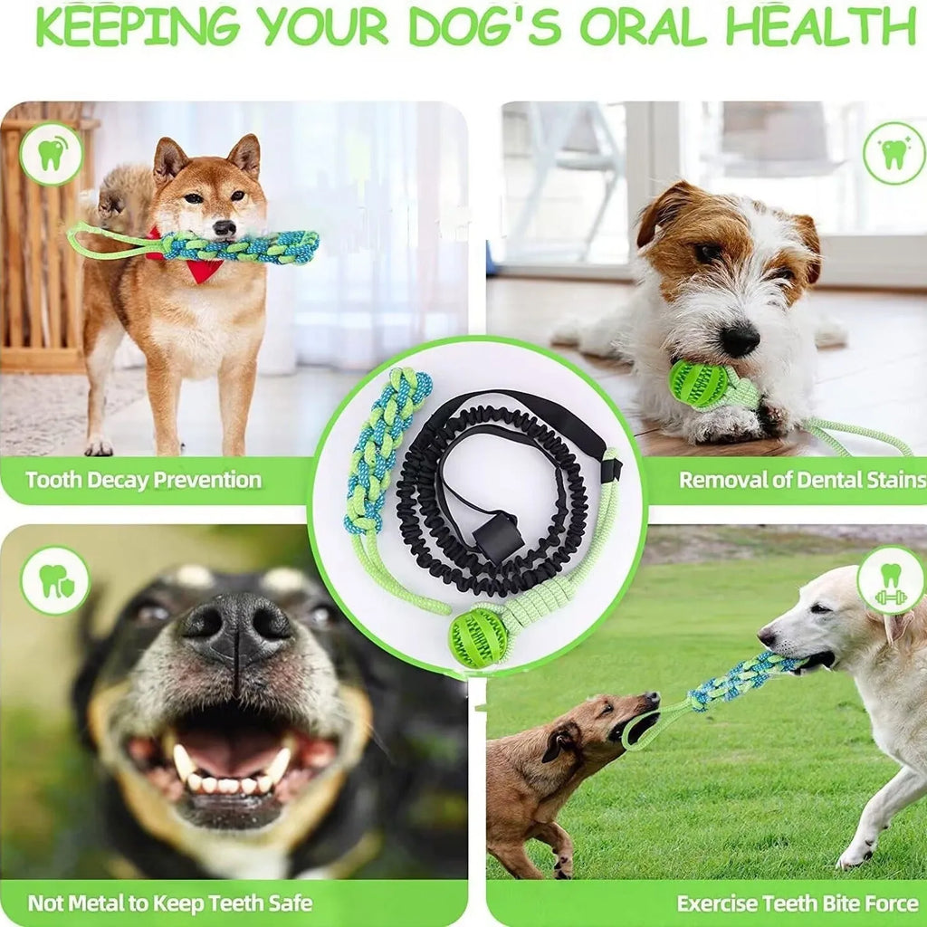 Green braided cotton dog tug rope toy with a choice of corncob or ball-shaped centrepieces.