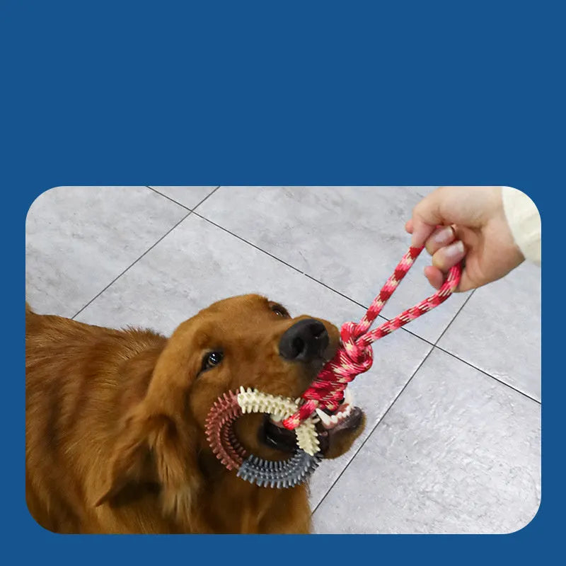 Colourful blue braided rope knotted dog chew toy on a white background.