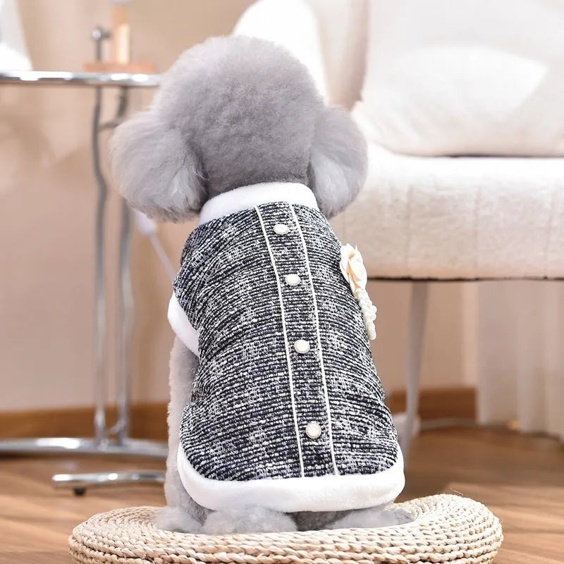 Black PU sausage jacket costume on a cat showing jacket-style design
