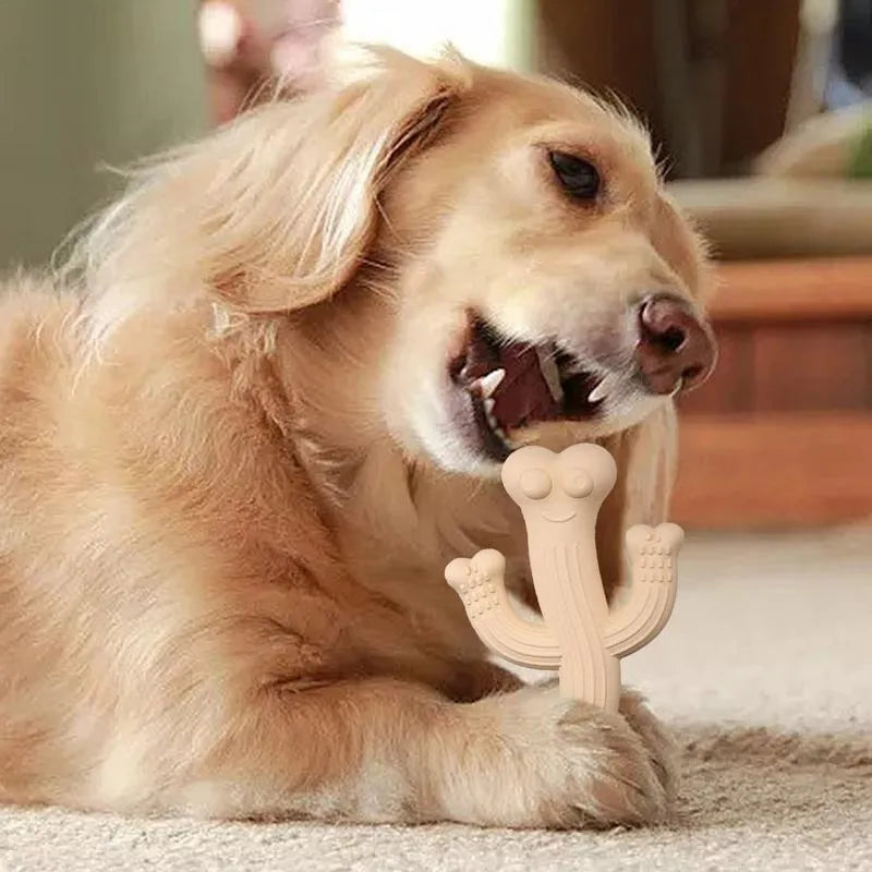 Cactus-shaped dog chew toy in bamboo fibre and rubber construction showing size comparison