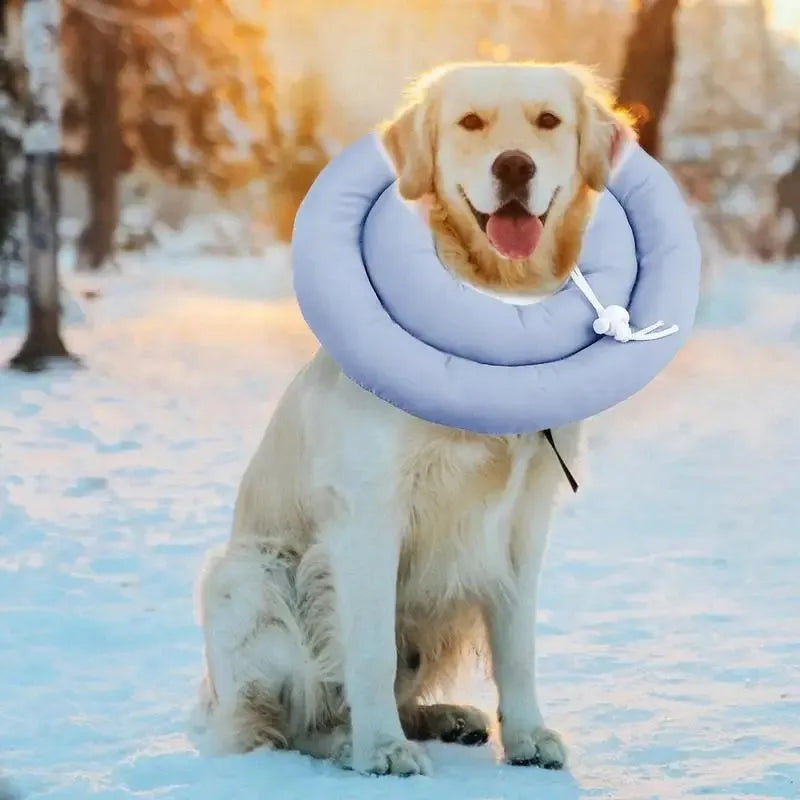 Blue adjustable Elizabethan cone collar for dog or cat wound recovery