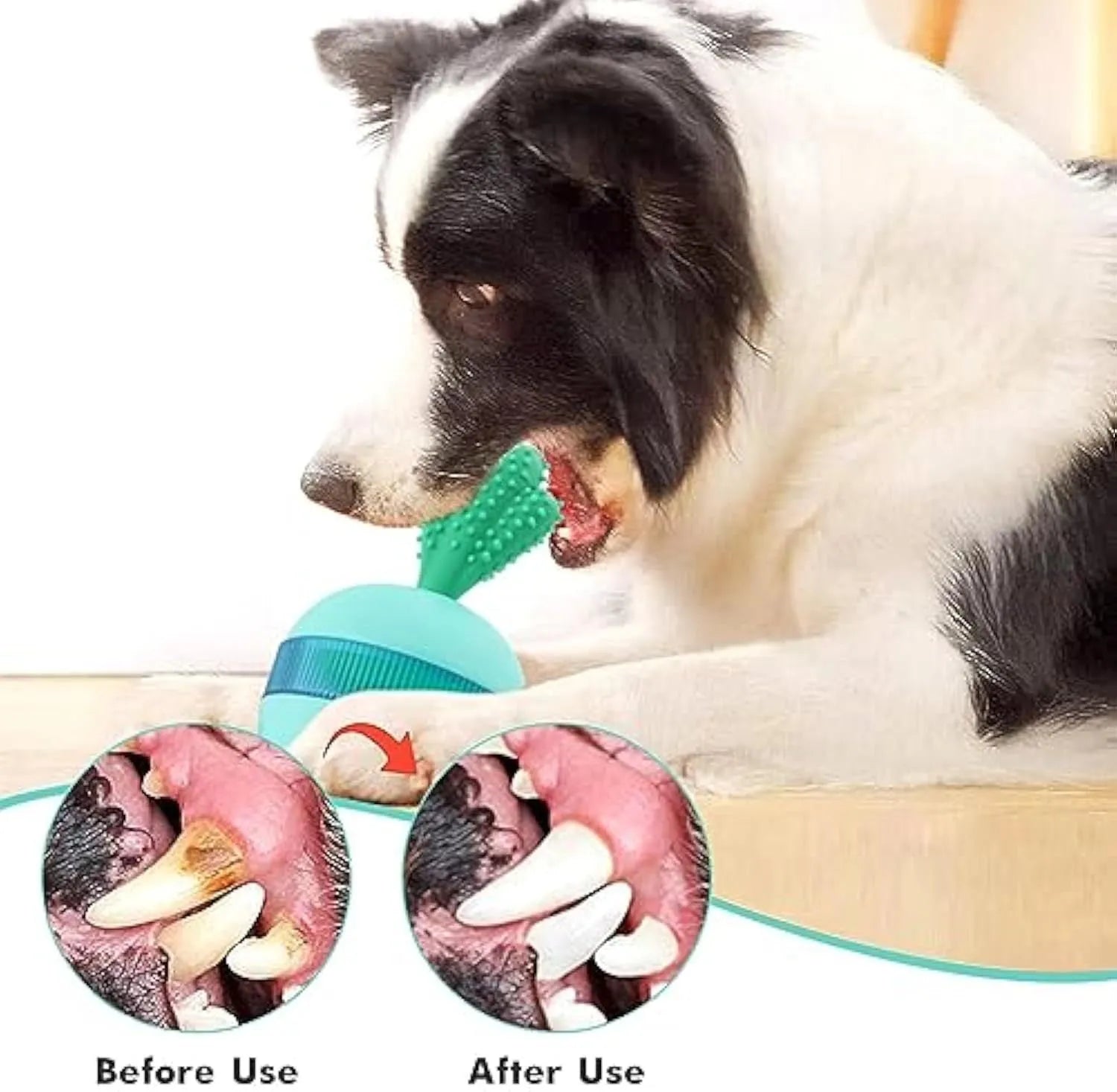 Blue and green durable rubber interactive dog treat dispensing ball toy for medium large dogs