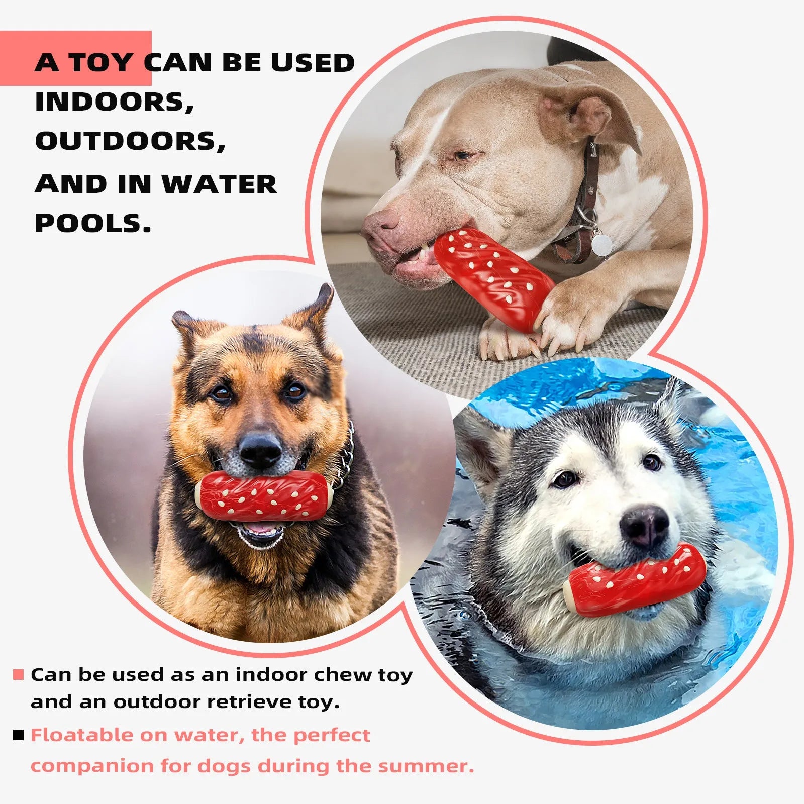 Glue Toothbrush-style plastic Molar Rod dog chew toy in a bone shape, primary colour.