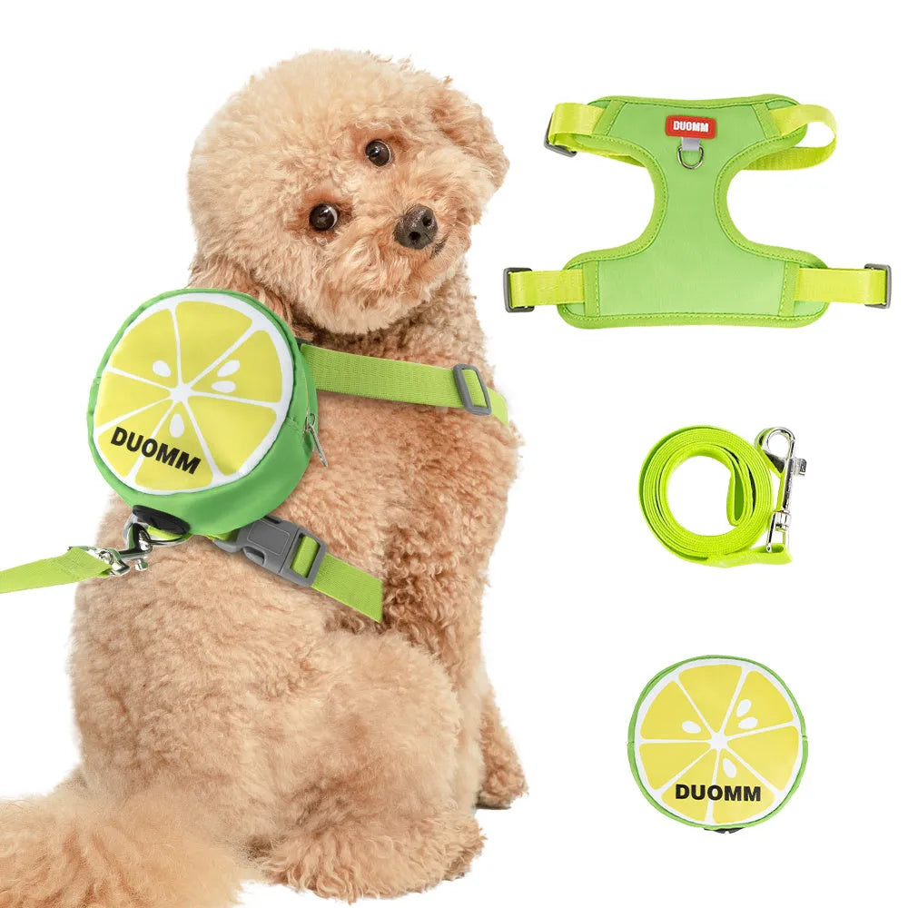 Green anti-slip pet chest strap and backpack set for a dog with a traction rope.