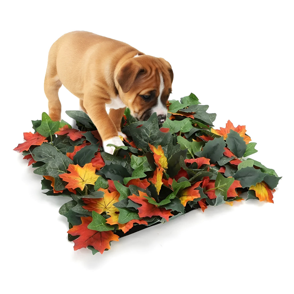 Pet jungle feeding mat, washable sniffing blanket, 55x50cm, fabric silk screen and glass fibre, colours A and B