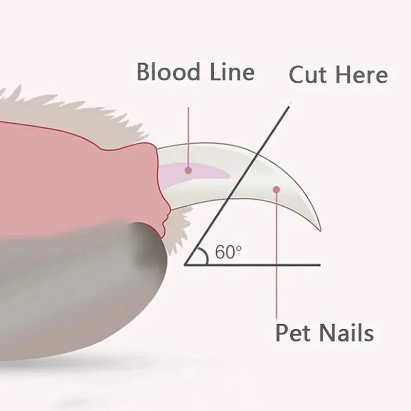 Blue pet nail clippers with LED light showing illuminated cutting area for safe nail trimming