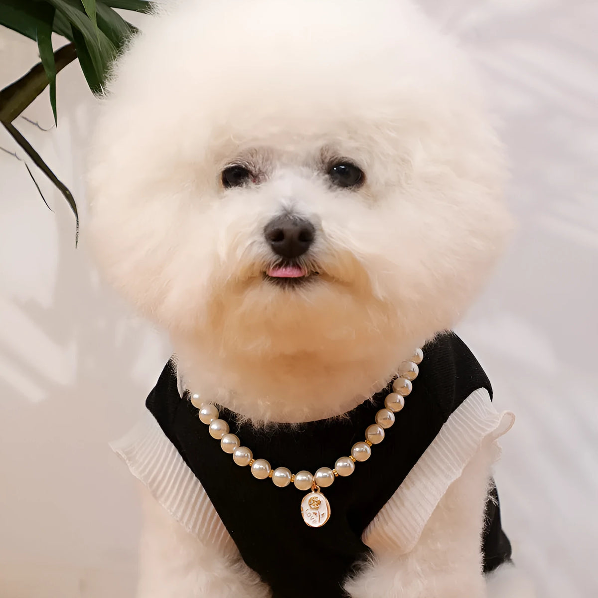 Pet retro pearl necklace collar with flower pattern in white rose or black rose, plastic, sizes S M L