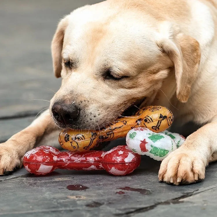TPR material dog chew toy with printed bone design and squeaker in seasonal colours
