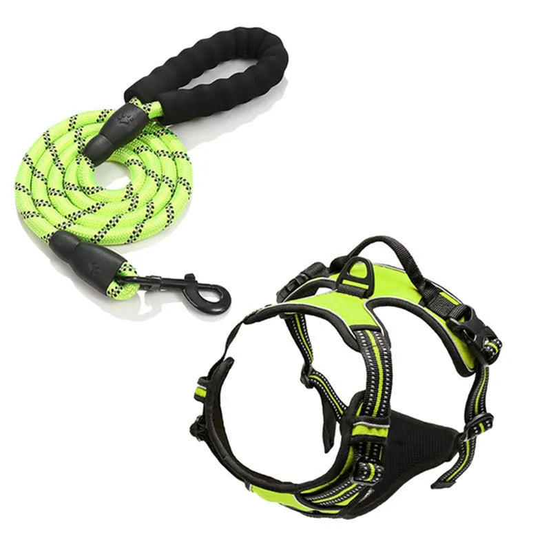 Nylon dog rope lead with chest and back control in multiple colours and sizes for pet walking and training