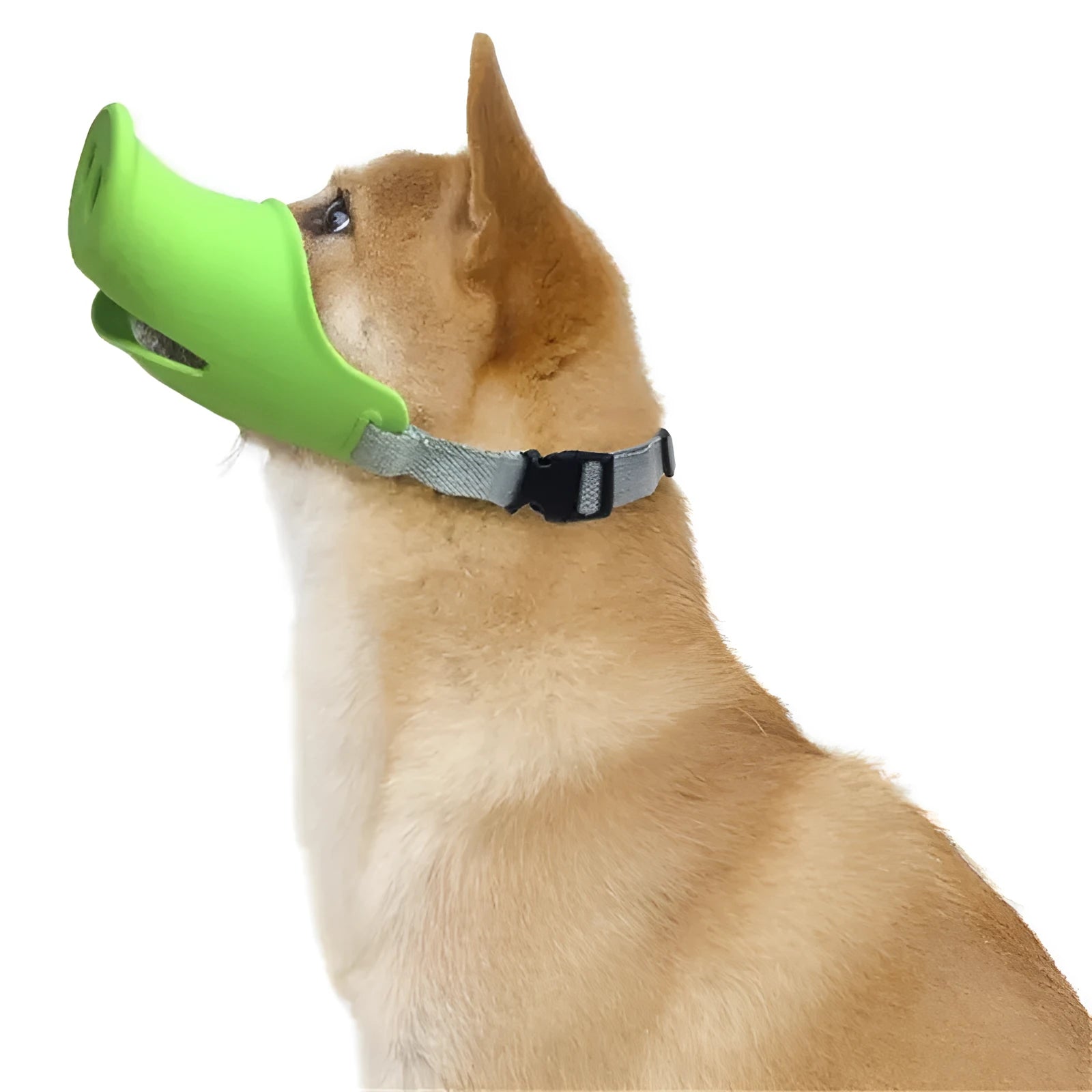 Silicone dog anti-bite mouth cover in blue and green colours showing two size options