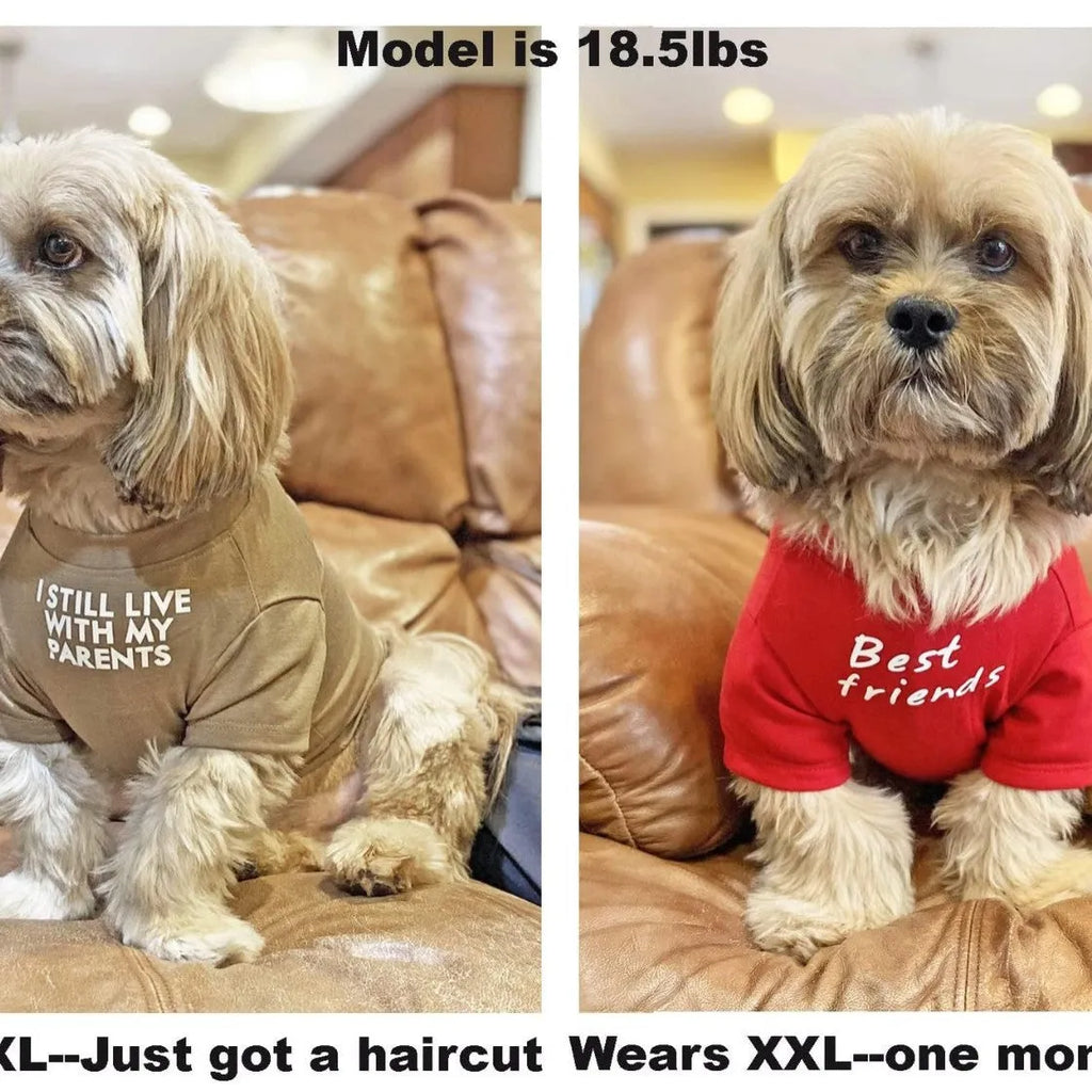 Pet clothes round neck T-shirt for dogs and cats made of breathable polyester in red, blue, black, and khaki