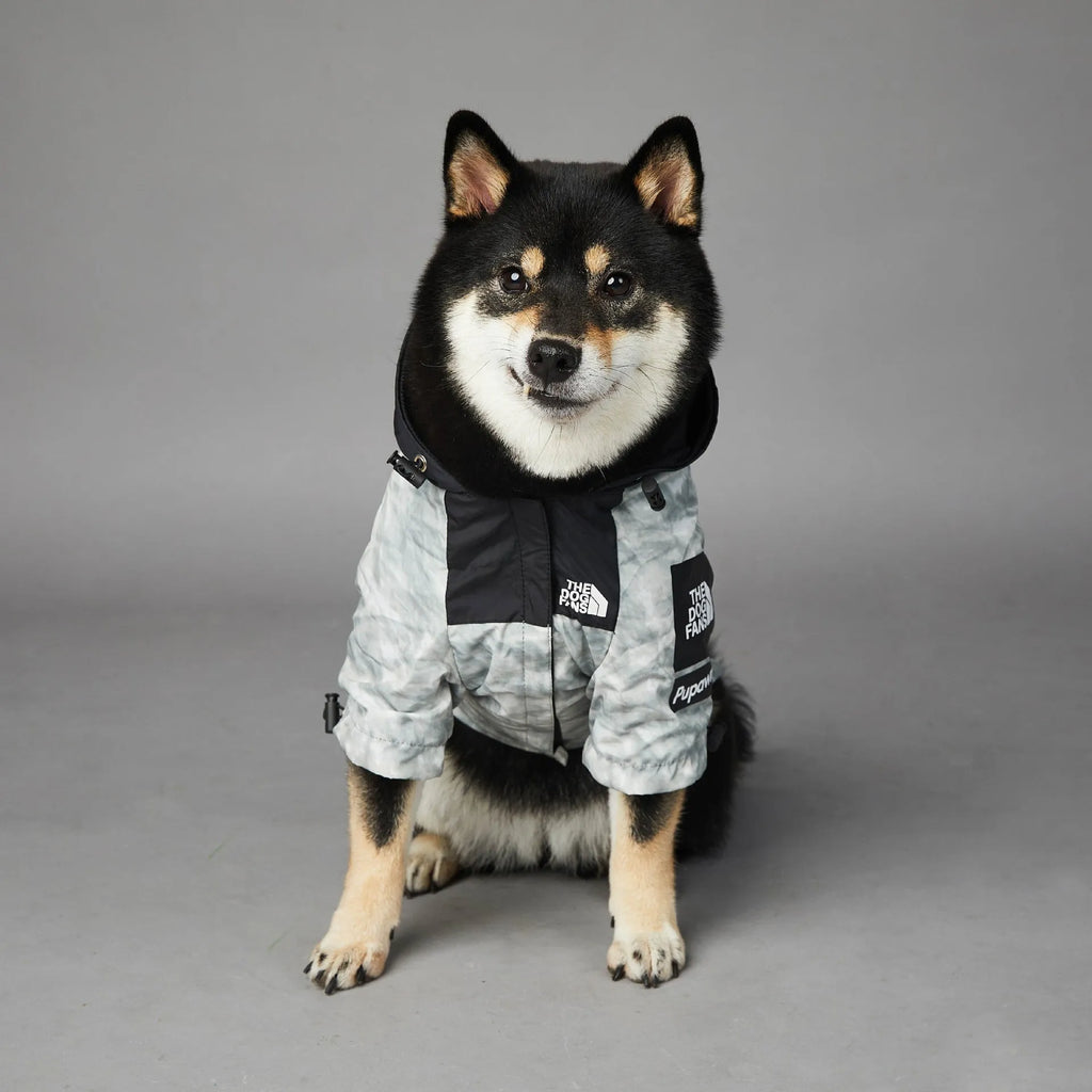 Dog shell jacket in polyester, available in sizes S-5XL, black or waste paper print.