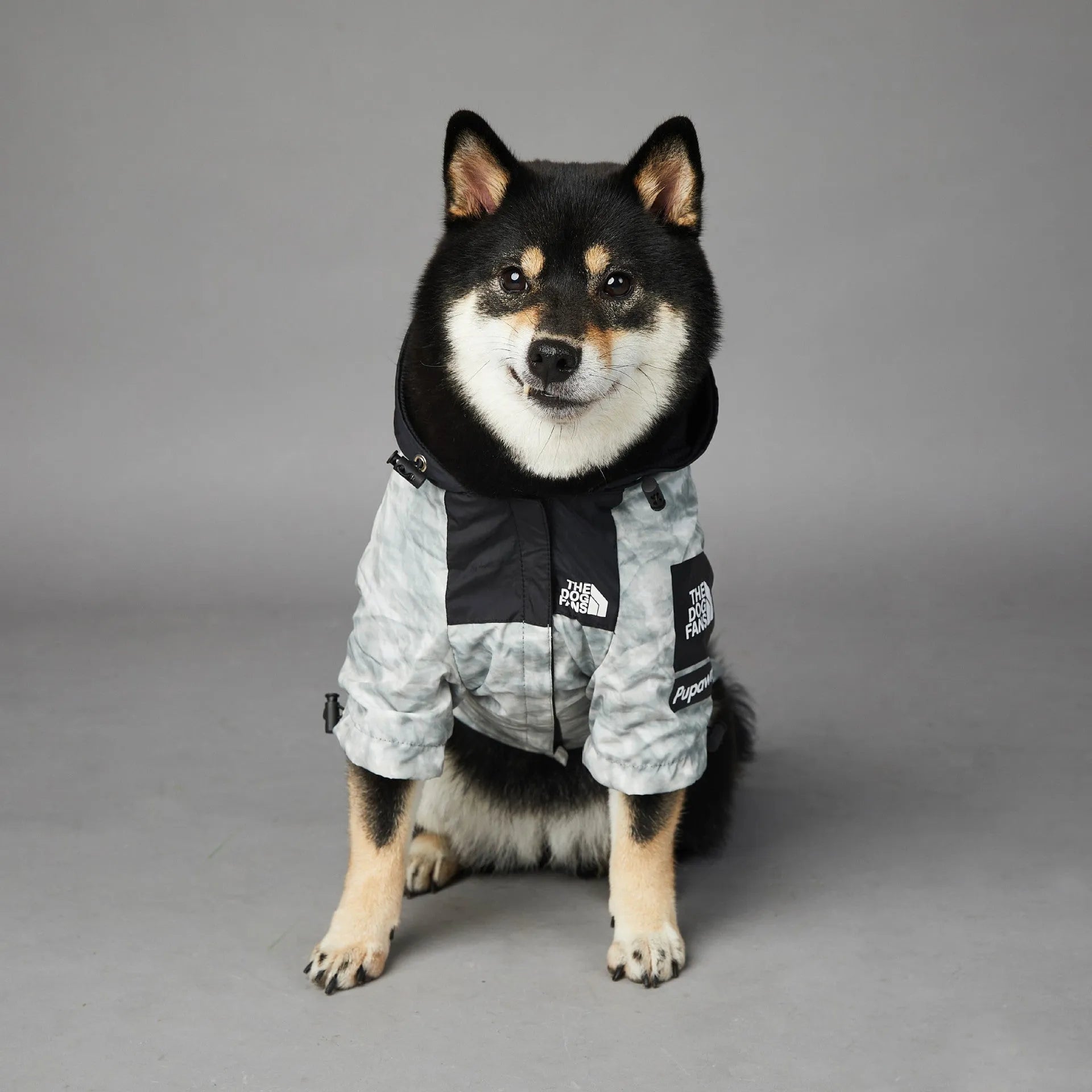 Dog shell jacket in polyester, available in sizes S-5XL, black or waste paper print.