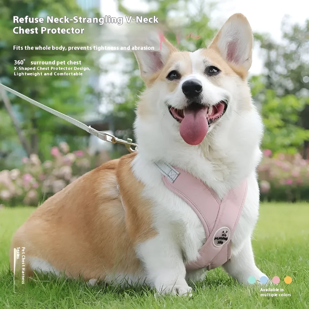 Pink polyester dog harness and bungee rope lead set shown on a size chart.