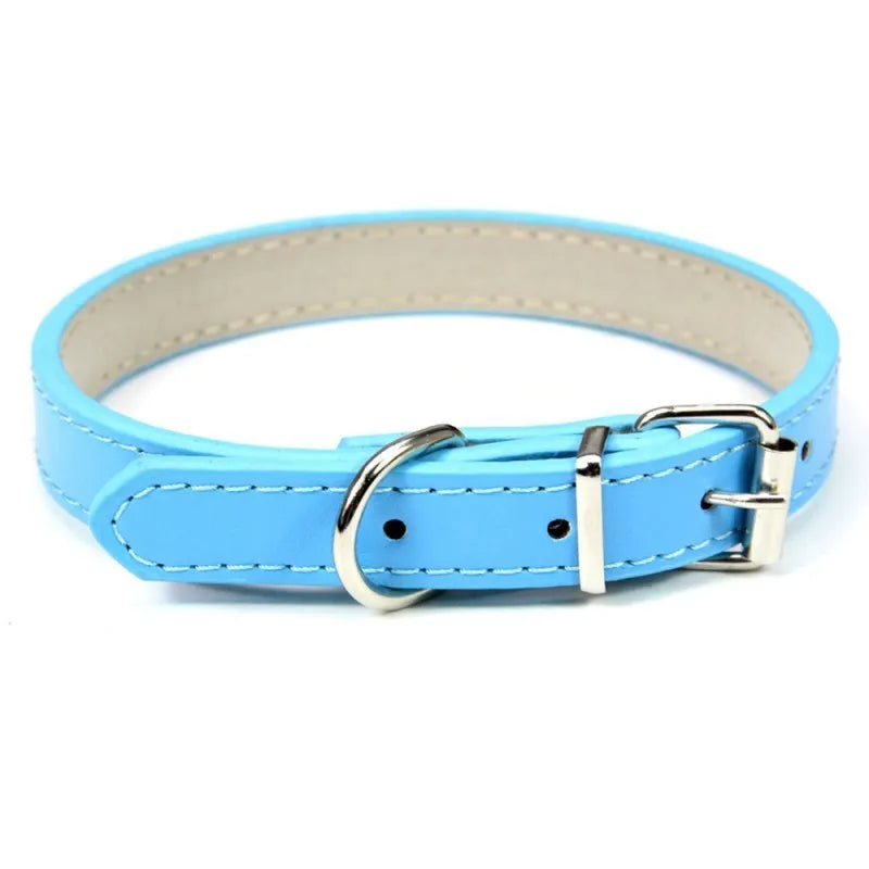 Small and medium dog collar in black PU leather with adjustable buckle, monochrome design
