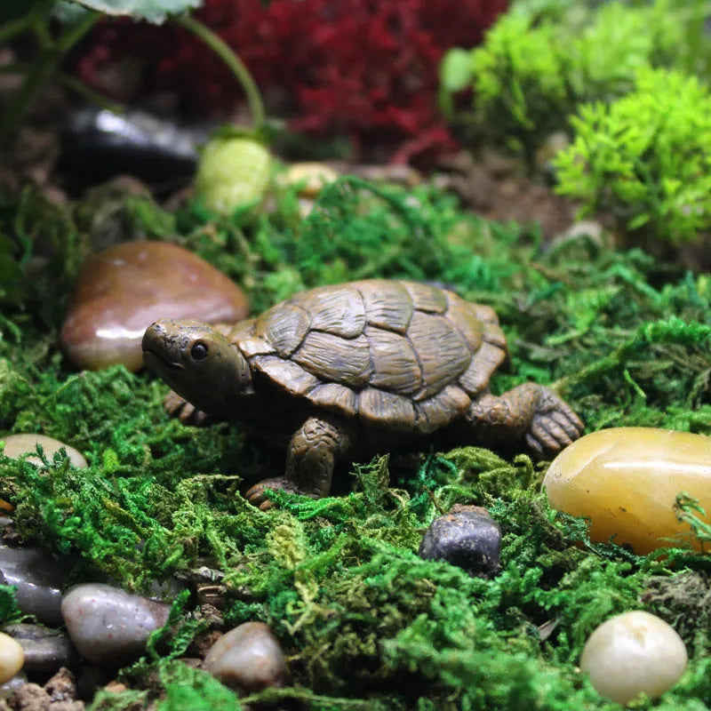 Micro landscape simulation little turtle resin decoration for miniature gardens