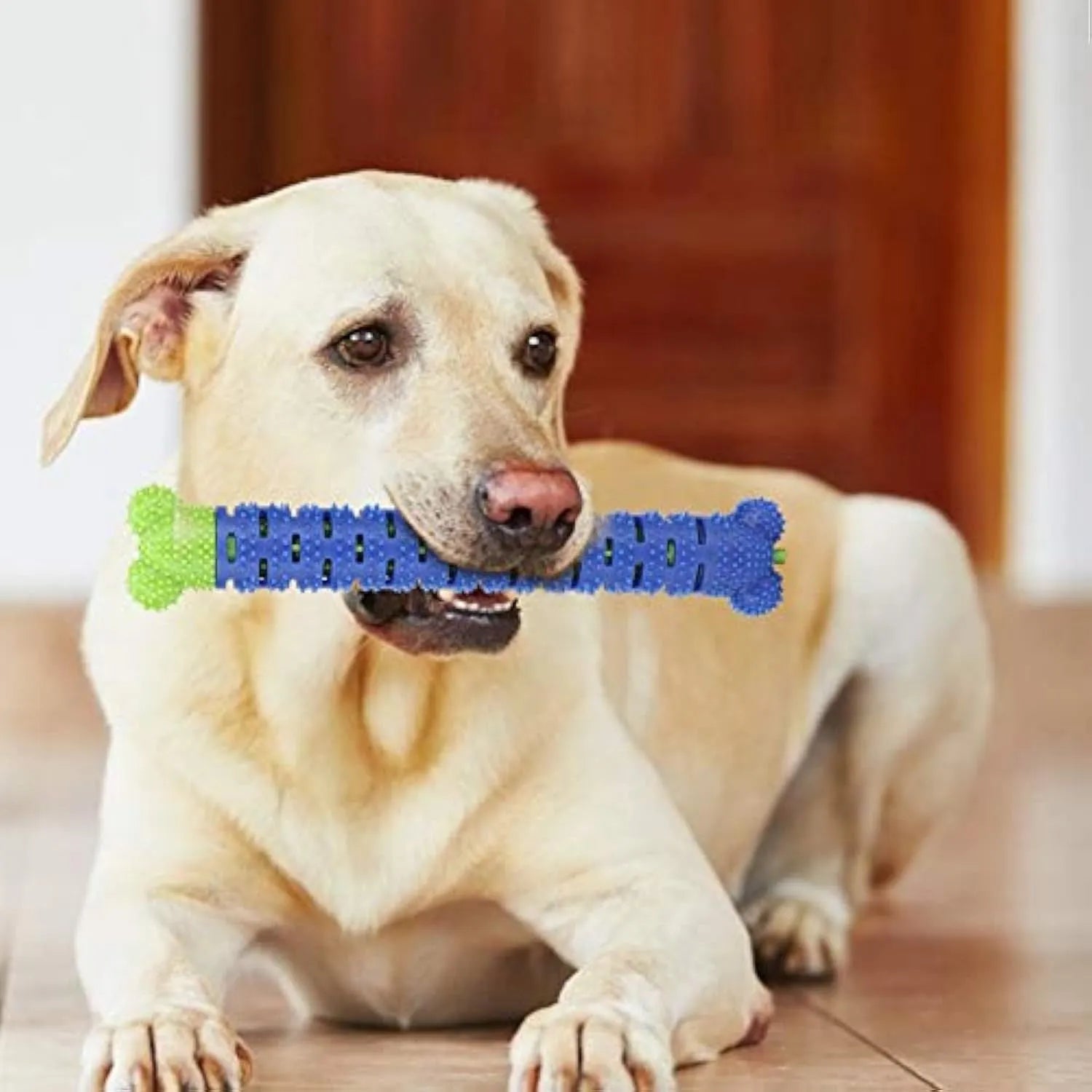 Blue green dog dental chew toy with silicone brush bristles and massage nodules, shown next to a tube of toothpaste.