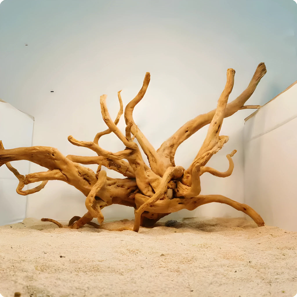 Xiaoqi root natural wood aquarium decoration ornament on a white background, showing its textured, root-like shape.
