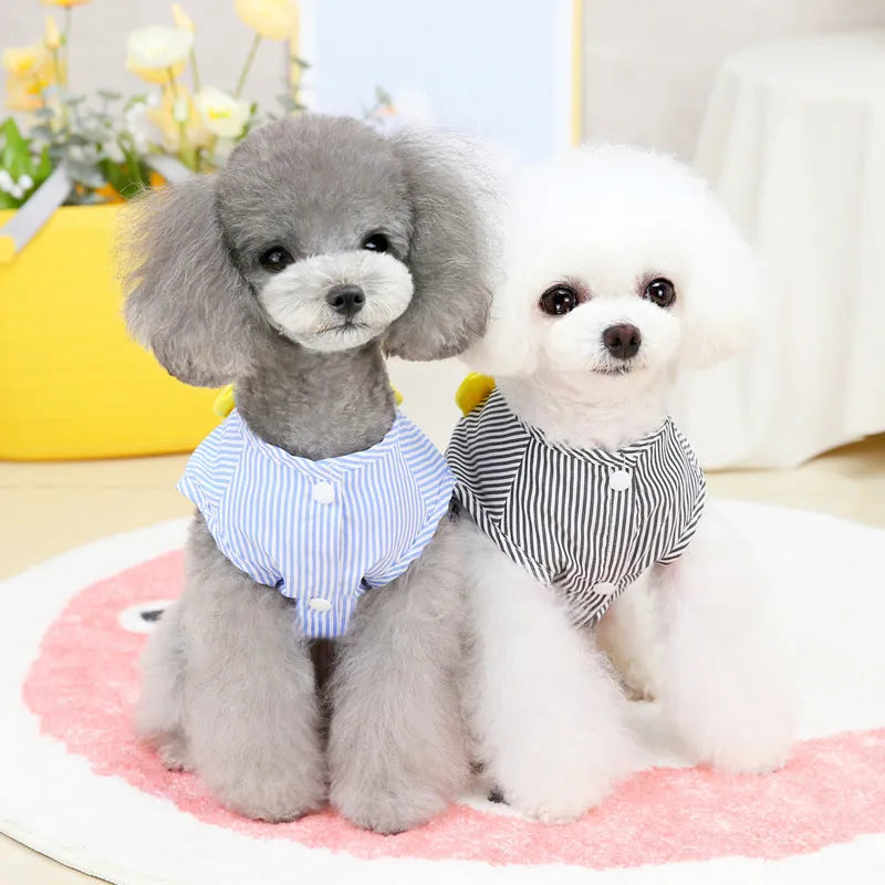 Cotton dog vest in blue or black, casual pet clothing available in sizes S to XXL