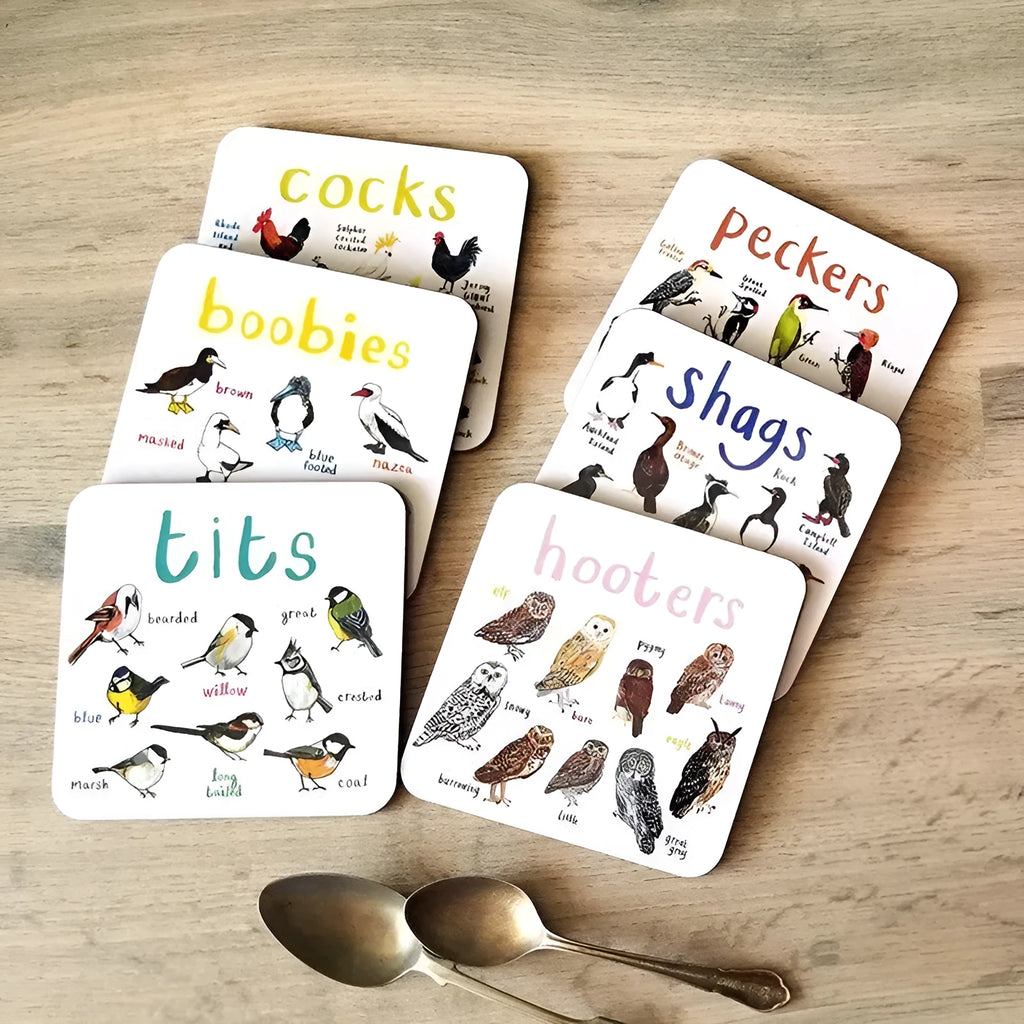 Set of 6 square bird pun coasters with PVC material, each featuring a different bird chart, 10x10x0.35 cm