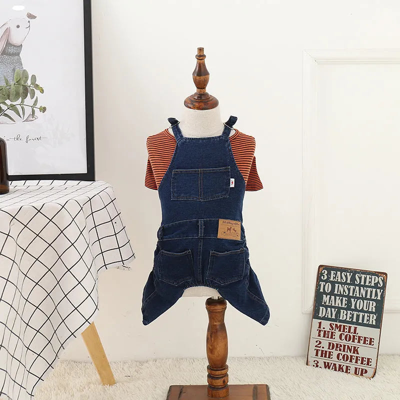 Jeans-style four-legged dog clothes in cotton, dark colour, on a small dog breed like Teddy